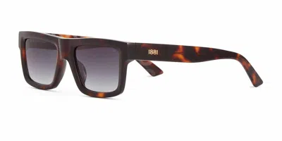Cerruti 1881 Cr 80062 C2 Occhiali Da Sole Tartarugatishell Per Uomo In Brown