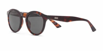 Cerruti 1881 Cr 80071 C2 Occhiali Da Sole Tartarugatishell Per Uomo In Brown