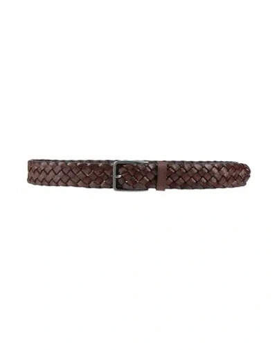 Cerruti 1881 Man Belt Chocolate Brown Size 39.5 Cow Leather