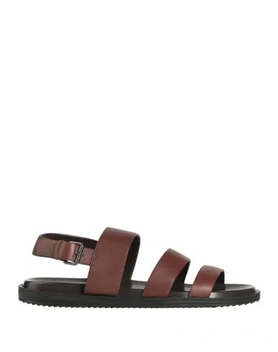 Cerruti 1881 Man Sandals Chocolate Brown Size 9 Cow Leather
