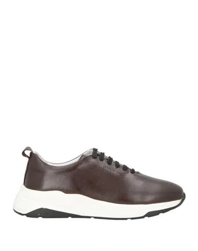 Cerruti 1881 Man Sneakers Chocolate Brown Size 9 Cow Leather