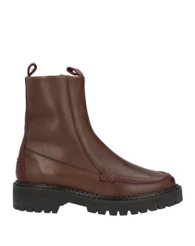 Cerruti 1881 Woman Ankle Boots Brown Size 8 Cow Leather