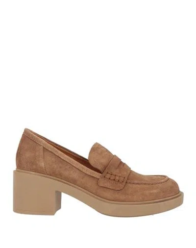 Cerruti 1881 Woman Loafers Light Brown Size 8 Cow Leather In Sand