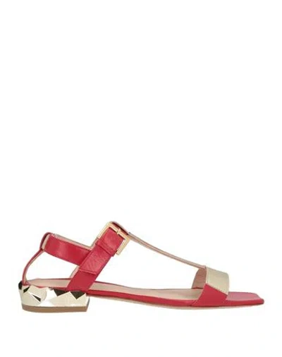 Cerruti 1881 Woman Sandals Red Size 8 Goat Skin