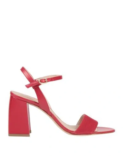 Cerruti 1881 Woman Sandals Red Size 8 Leather In Animal Print