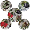 Certified International Botanical Veggies 5-pc. Pasta Bowl Serving Set In Multi
