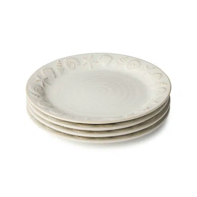 Certified International Coastline Cream Set Of 4 Salad Plates In Neutral
