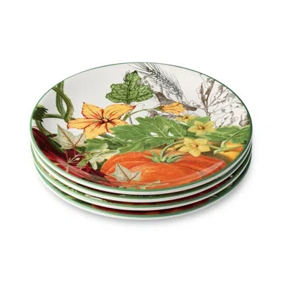 Certified International Harvest Fields 9” Ceramic Salad Plates – Set Of 4 Autumn-inspired Farmhouse Plates With Pumpkins & F In Brown;white;green;red;orange