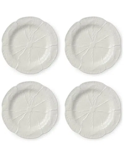 Certified International Le Jardin Set Of 4 White Cabbage 3d Salad Plates