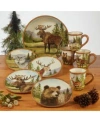 Certified International Mountain Summit Collection In Green