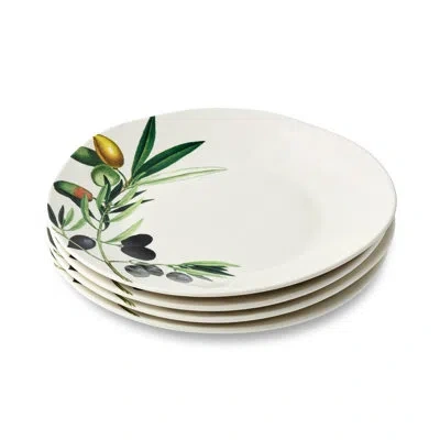 Certified International Olivia Set Of 4 Dinner Plate 11in In White;green