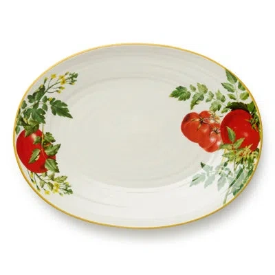 Certified International Pomodoro 16-inch Stoneware Oval Serving Platter – Rustic Italian Tomato Vine Design – Vibrant Medite In White;green;red