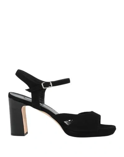 Cervone Woman Sandals Black Size 10 Leather In Black