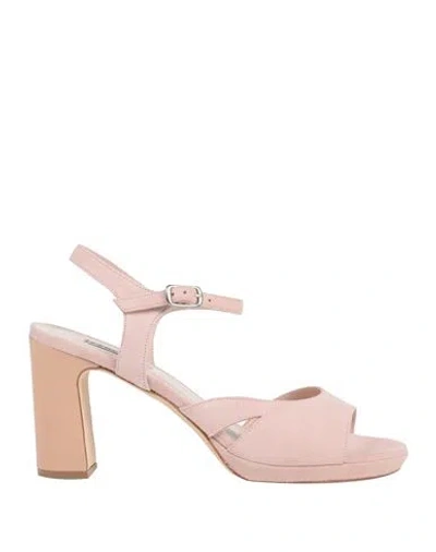 Cervone Woman Sandals Pink Size 9 Leather