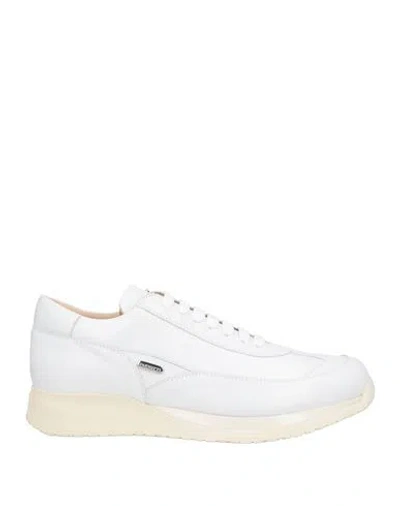 Cesare Paciotti Story Man Sneakers White Size 8 Leather