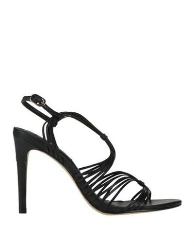 Cesare Paciotti Woman Thong Sandal Black Size 6 Leather In Black