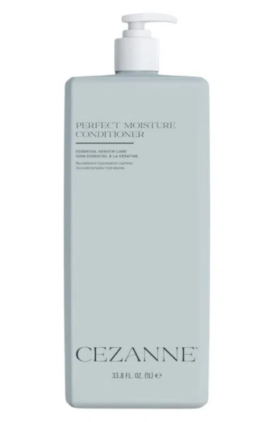 Cezanne Hair Professional Perfect Moisture Conditioner In Transparent