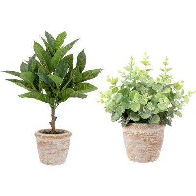 Cg Hunter 10" Eucalyptus And 16" Citrus Faux Topiary Set In Green