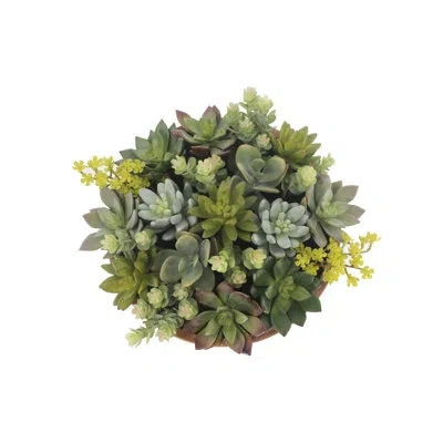 Cg Hunter 11" Faux Succulent Arrangement In Terracotta Round Pot - Lifelike Botanical Decor In Green