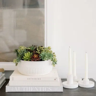 Cg Hunter 12" Succulent Arrangement In Green