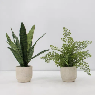 Cg Hunter 16" Faux Snake Plant And Fern Set In Brown
