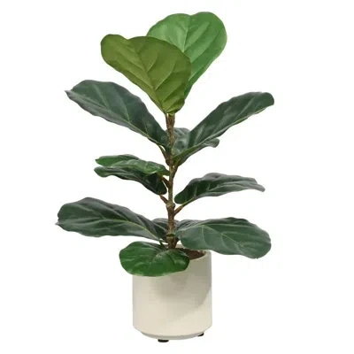 Cg Hunter 2' Artificial Fiddle Leaf Fig Trees In Pots In Green