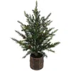 Cg Hunter 2' Pine Tree In Green
