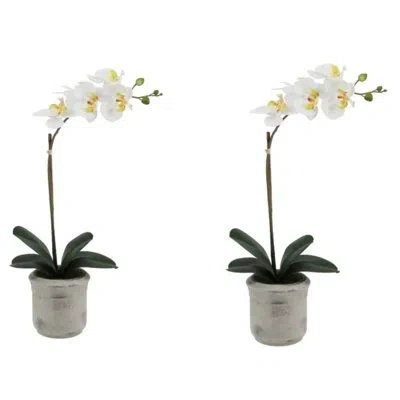 Cg Hunter 22" Artificial White Phalaenopsis Orchids In Green
