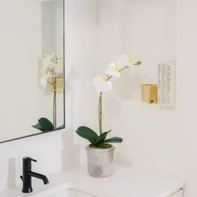 Cg Hunter 22" Artificial White Phalaenopsis Orchids Set Of 2