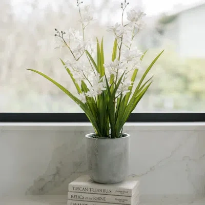 Cg Hunter 22.5" Artificial White Orchid In Vanda Pot In Green