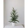 Cg Hunter 24" Artificial Evergreen Cedar Tree Set In Sand