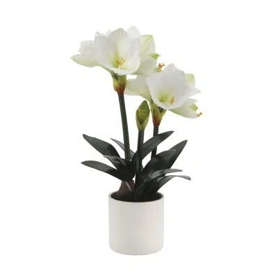 Cg Hunter 24 In. White Amaryllis Faux Floral Arrangement In White Pot - Lifelike Holiday Decor