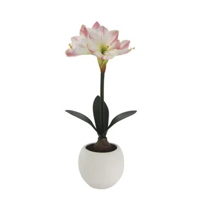 Cg Hunter 24 In. White And Pink Faux Amaryllis Bulb Arrangement In Round White Pot