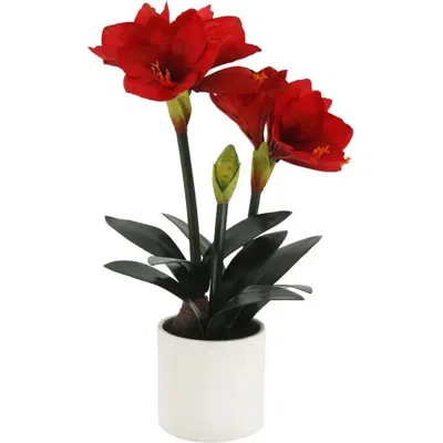 Cg Hunter 24" Red Amaryllis Arrangement