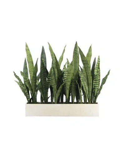 Cg Hunter 27" Potted Snake Plant - Natural