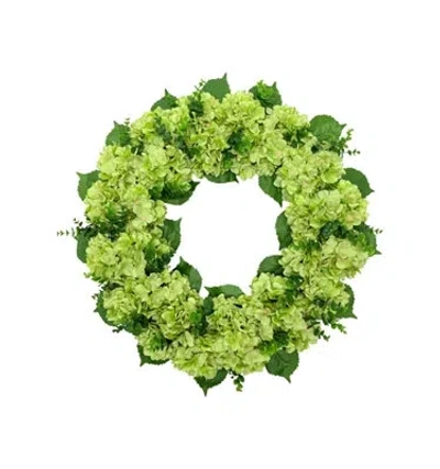 Cg Hunter 30" Artificial Light Green Hydrangea Wreath