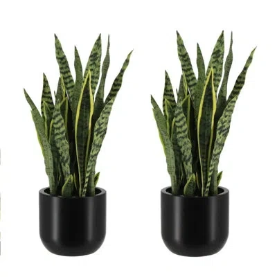 Cg Hunter 30" Artificial Snake Plants In Black Pots In Green
