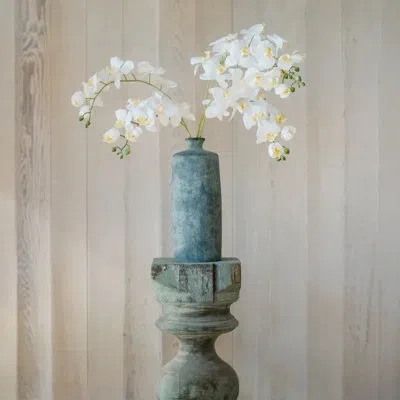 Cg Hunter 36" Artificial White Phalaenopsis Orchid Stems In Green
