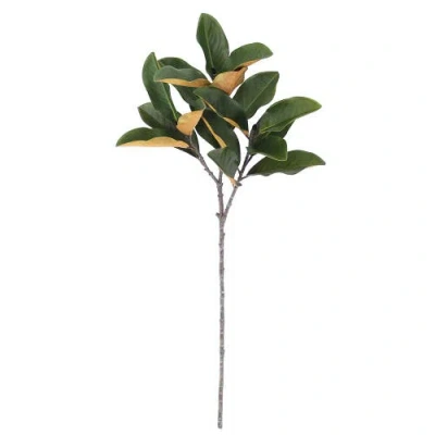 Cg Hunter 36 Inch Faux Green Magnolia Leaf Stem