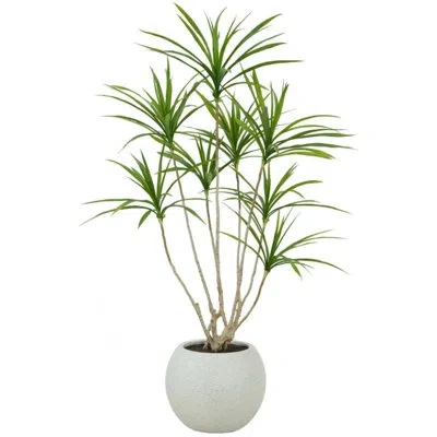 Cg Hunter 4' Artificial Dracaena Tree In Pot In Green