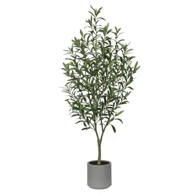 Cg Hunter 4' Fruitless Olive Tree In Pot In Gray