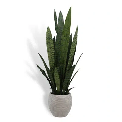 Cg Hunter 40in Snake Plant In Green
