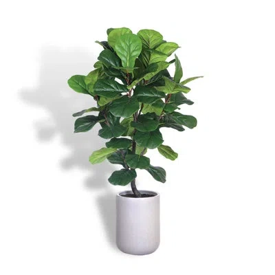 Cg Hunter 5ft Artificial Fig Tree Kd In Green