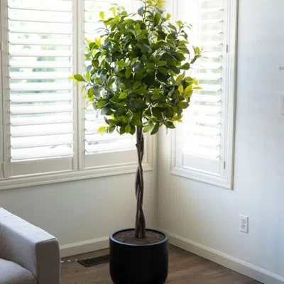 Cg Hunter 6' Artificial Laurel Tree In Green