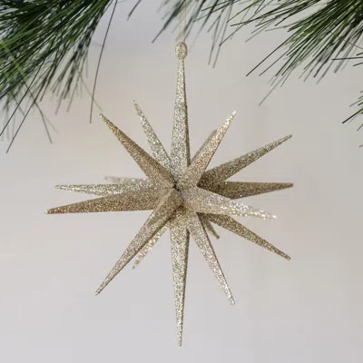 Cg Hunter 6" Gold Glitter Starburst Ornament