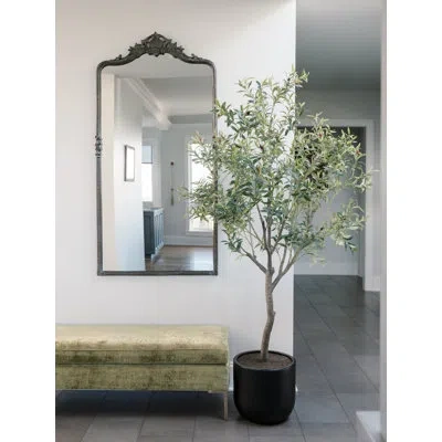 Cg Hunter 6.5ft Olive Tree, Potted In Green
