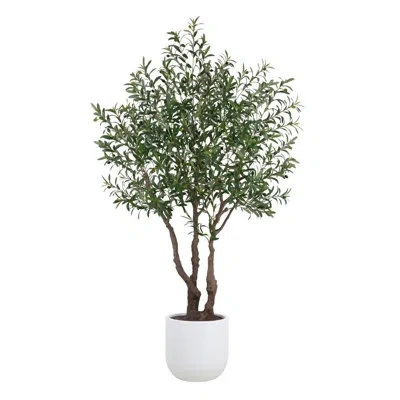 Cg Hunter 7.5ft Olive Tree, Potted In White