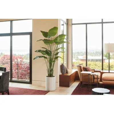 Cg Hunter 8ft Bird Of Paradise Tree, Potted In Green