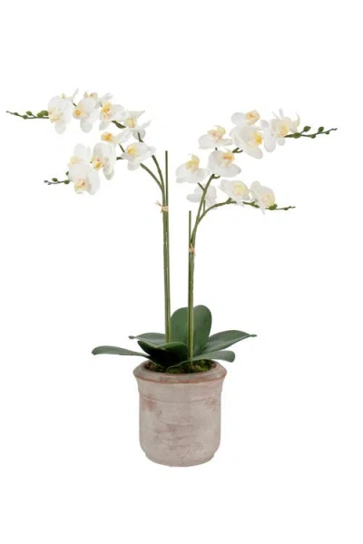Cg Hunter Artificial 2-stem Phalaenopsis White Orchid