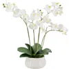 Cg Hunter Artificial 4-stem Phalaenopsis White Orchid In White